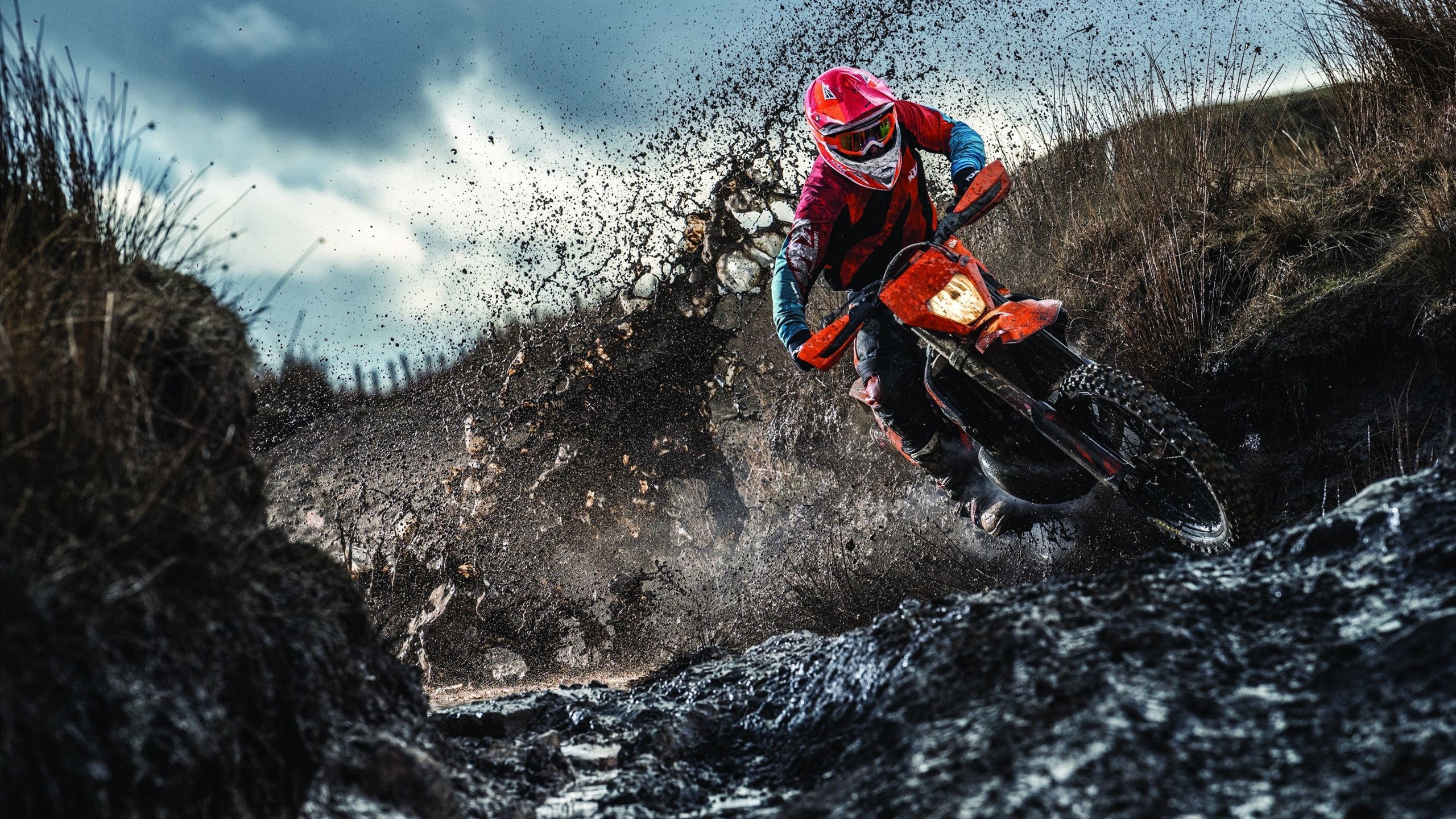 巴黎奥运会倒计时，全球健儿蓄势待发，东道主筹备进入冲刺阶段