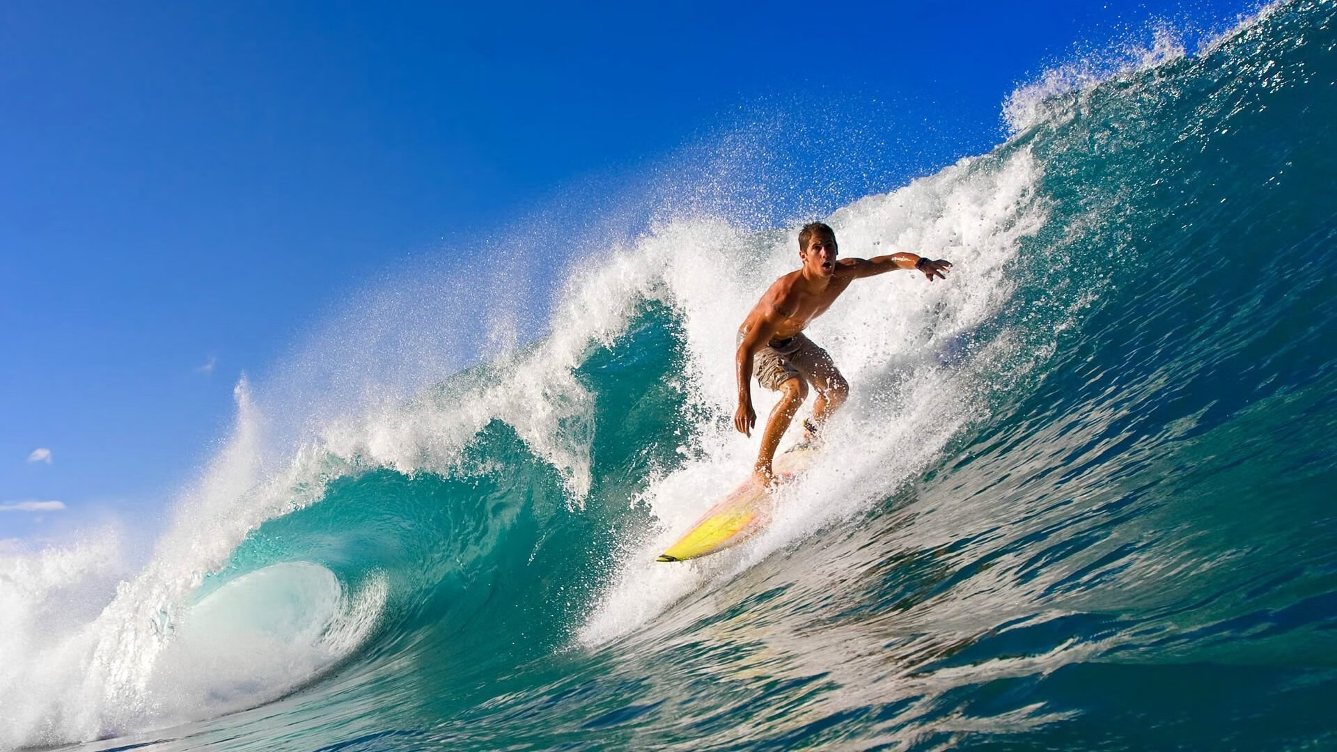 阿联屡献暴扣强势反弹 广东磨合赢球两不误